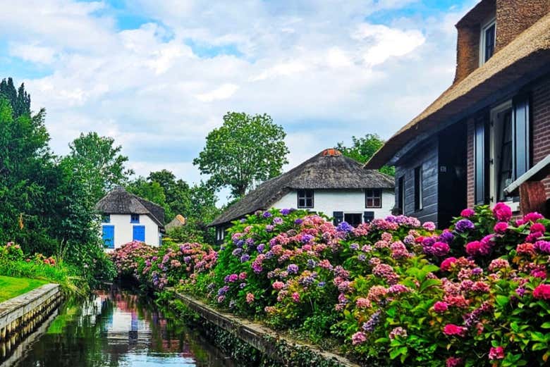 Flores junto a un canal en Giethoorn 