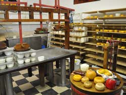 Granja de queso cerca de Volendam