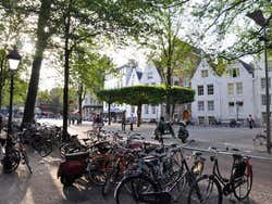 Spui