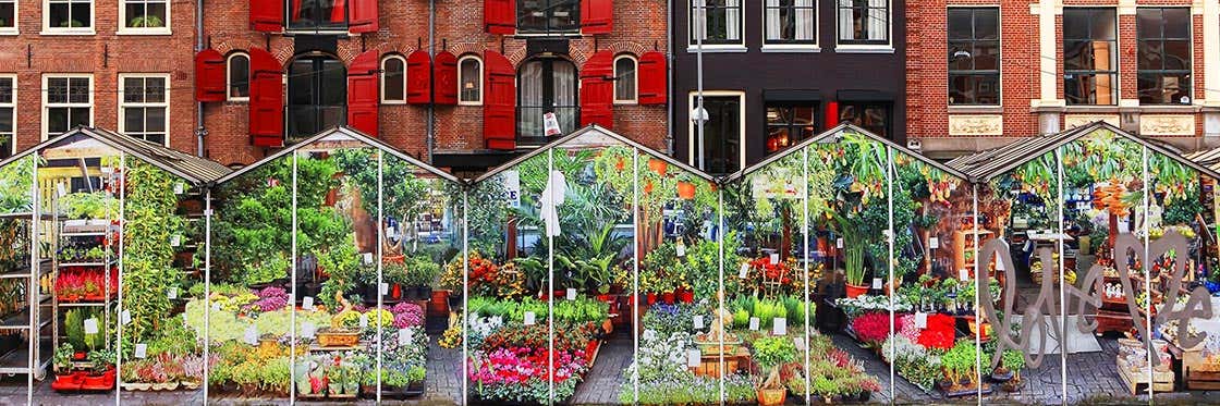 Mercado de las flores de Ámsterdam